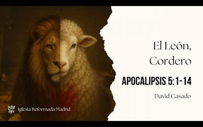 El León, Cordero | Apocalipsis 5:1-14 | David Casado.